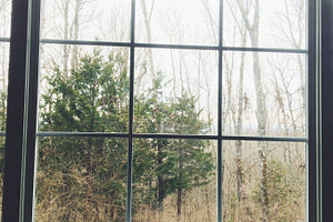 Window in Woods