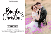 Sunlight | Script Font, a Handwritten Font by Scratchones (Thumbnail 2 of 8)