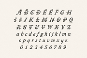 Field Notes, a Symbol Font by Bruised Goods (Thumbnail 9 of 13)