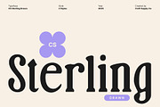 CS Sterling Drawn, a Serif Font by Craft Supply Co. (Thumbnail 1 of 8)