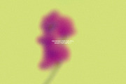 Bold Bloom – Floral Backgrounds, a Background Graphic by StudioMorf (Thumbnail 9 of 14)