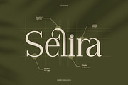 Vianeka -  Modern Luxury Serif Font, a Serif Font by Flawless And Co (Thumbnail 5 of 10)