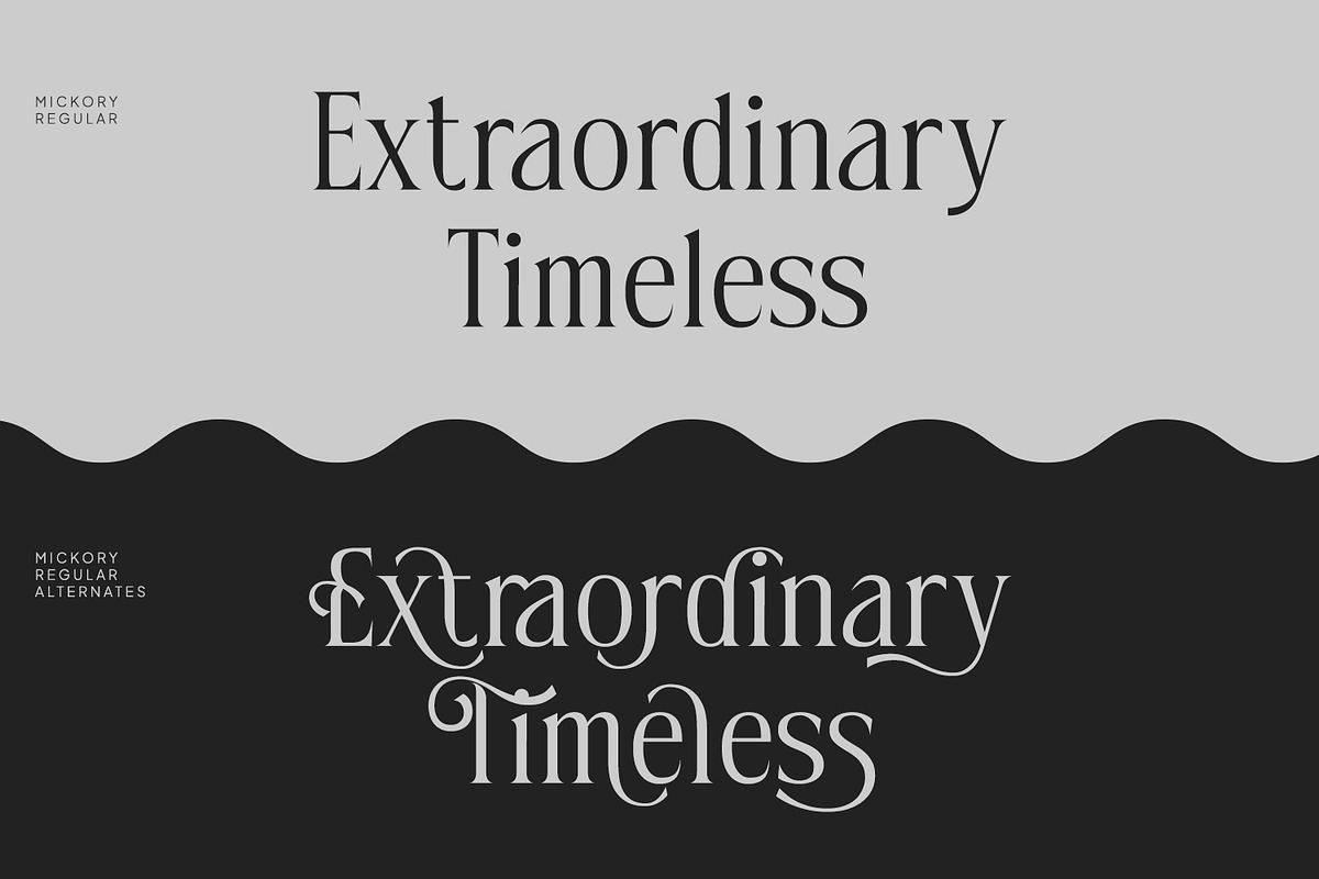 Mickory, a Serif Font by din-studio.com (Photo 3 of 11)
