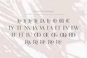 Lusican - Serif Display Font, a Sans Serif Font by Vesvocrea (Thumbnail 8 of 9)