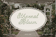 Hedge Rose Decorative Floral Script, a Script Font by AnMark (Thumbnail 8 of 10)