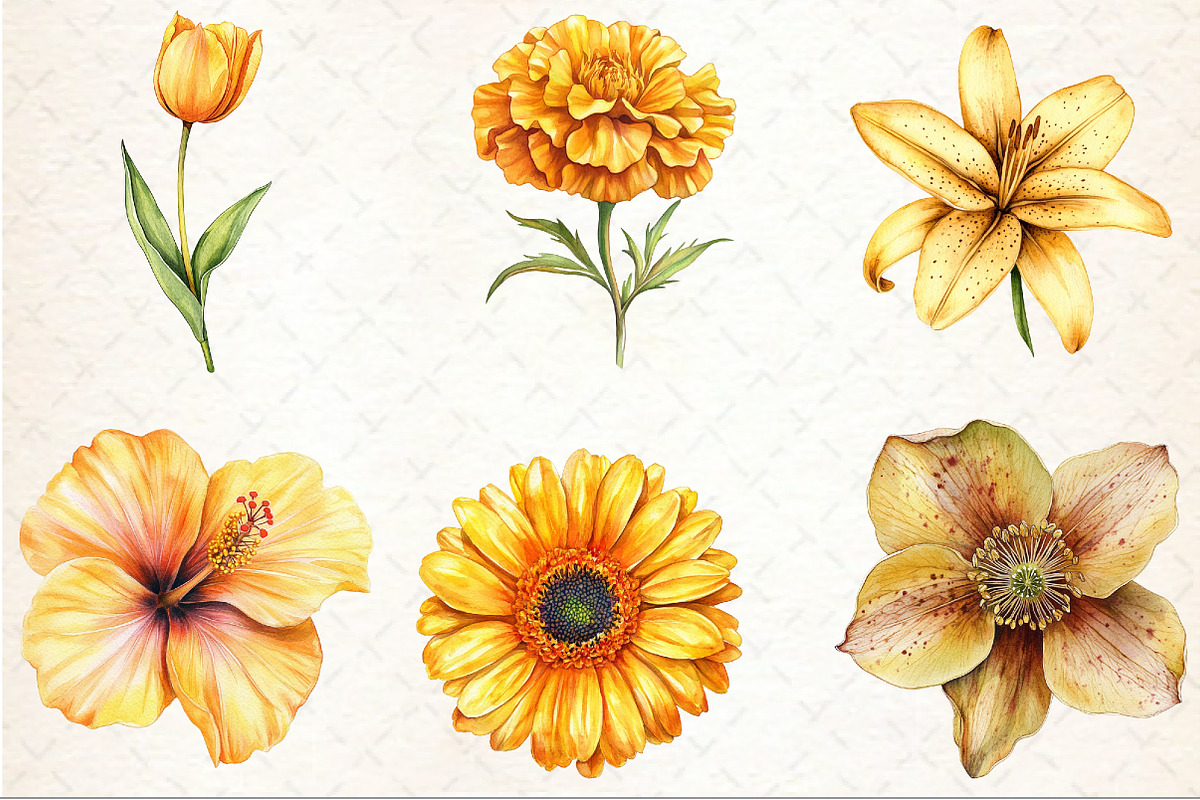 Watercolor Golden Flowers Clipart, an Illustration by Rose Art (Photo 5 of 7)