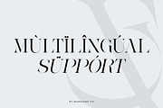 Ganer | Serif Display Typeface, a Serif Font by Mahesans Co (Thumbnail 8 of 10)