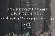The Memorie Font DUO & Doodle, a Script Font by Artstudio (Thumbnail 10 of 13)