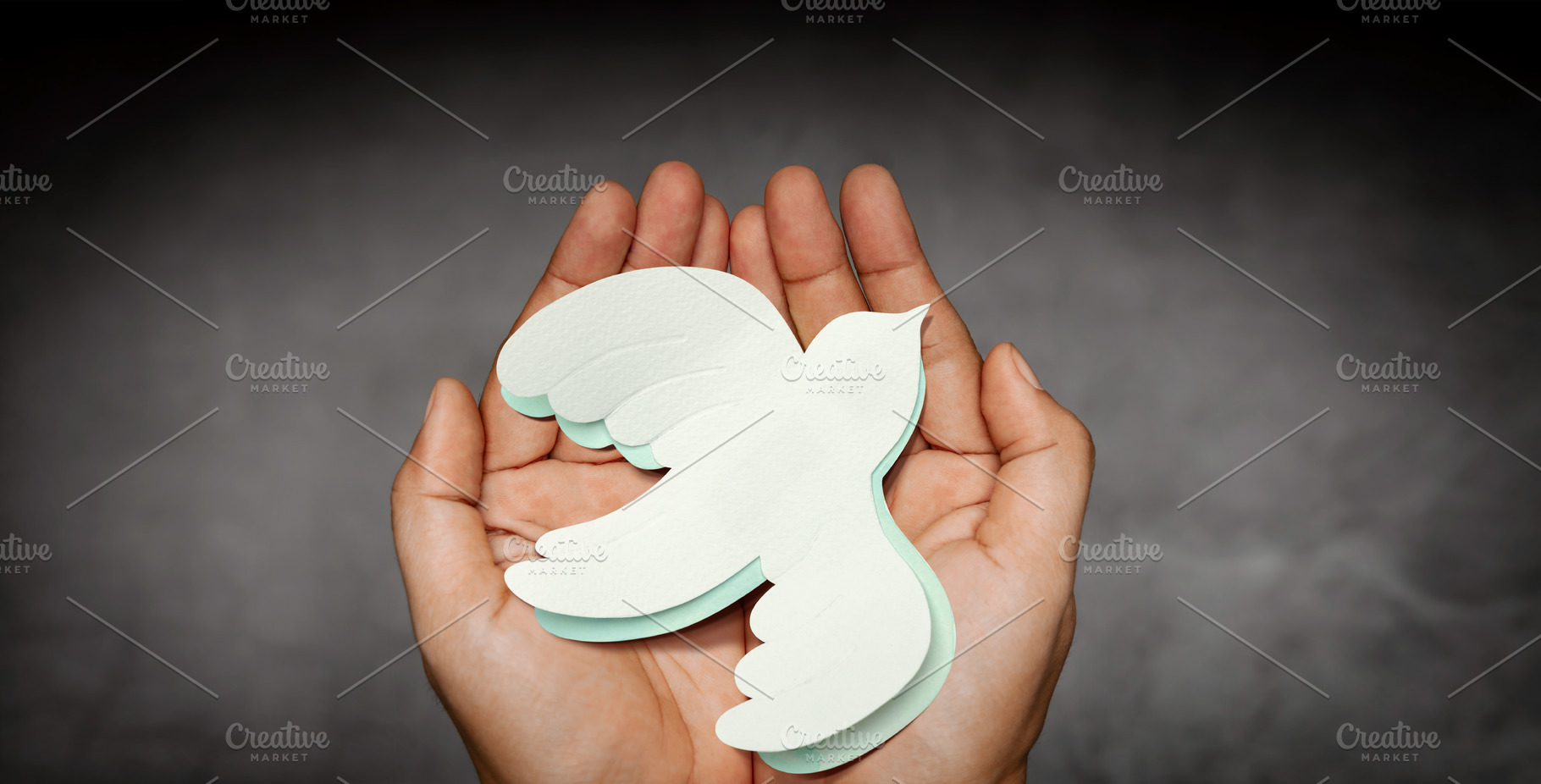 Hands Holding a White Paper Dove. Sign of Peace and New Beginnin, a Person Photo by salmon.black