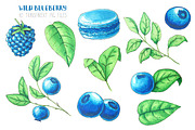Wild Blueberry Font Duo, a Script Font by LarysaZabrotskaya (Thumbnail 3 of 9)
