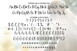 Monkey Script Font