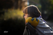 Autumn Adobe Lightroom Presets, an Action Add-On by Goat presets (Thumbnail 3 of 4)