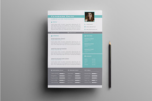 Modern Resume Template Vol.1