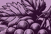 Woodcut-Style Wine Grapes, a Food Illustration by Electric Ink (Thumbnail 2 of 2)