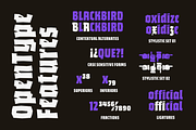Bork: a blackletter-inspired font, a Blackletter Font by Harbor Type (Thumbnail 12 of 12)