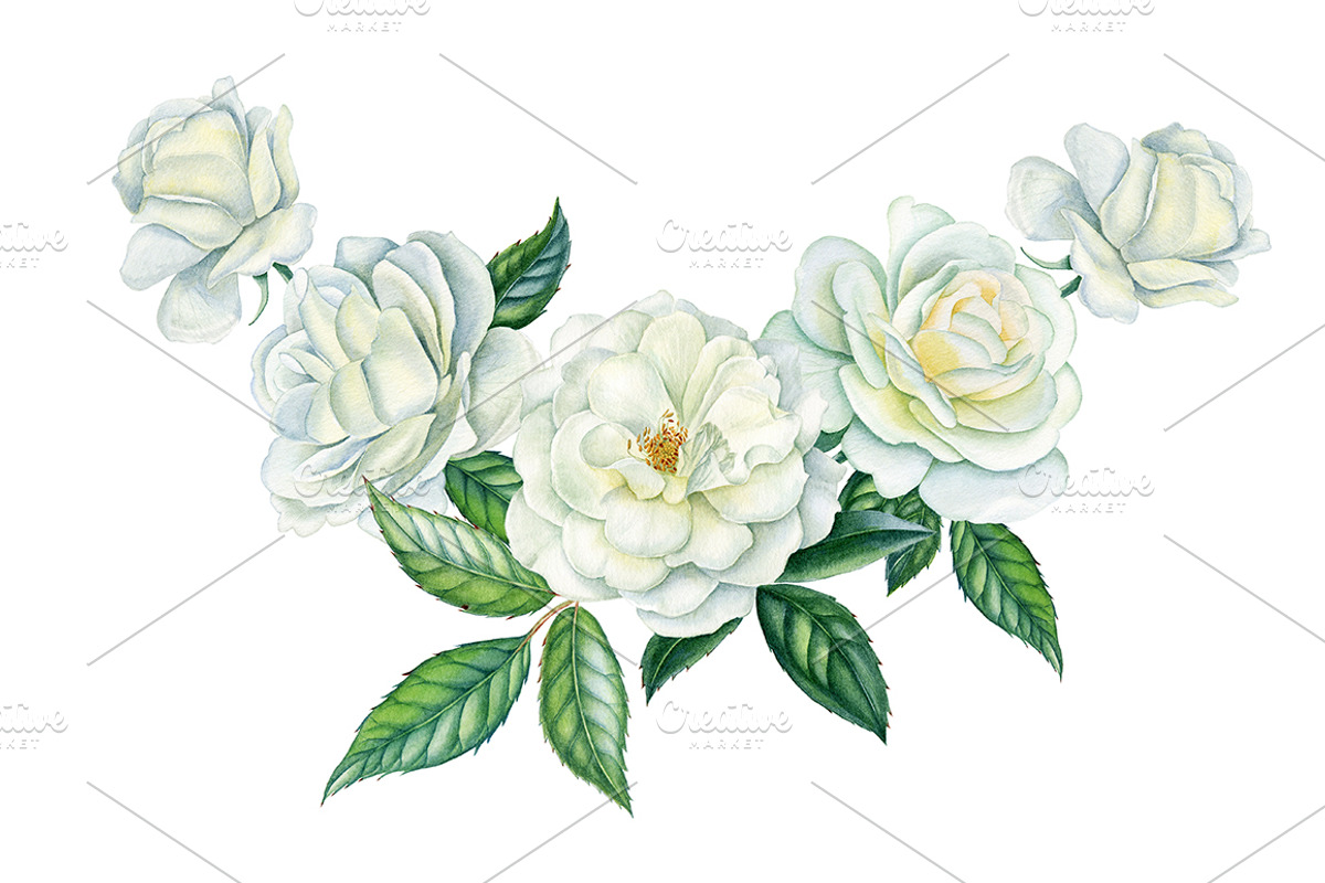 White roses, a Decorative Illustration by Watercolor life (Photo 7 of 7)