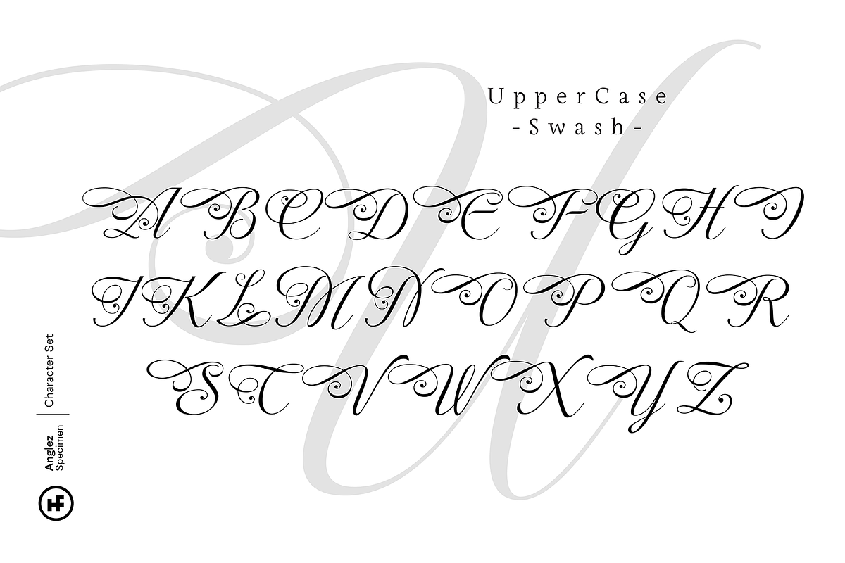 Anglez Script preview 7