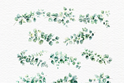 Ivy vines clipart, Greenery, a Decorative Illustration by Invite to Clipart (Thumbnail 4 of 5)