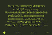 CS Bastille Drawn, a Blackletter Font by Craft Supply Co. (Thumbnail 8 of 8)
