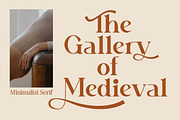 Heterogent - Premium Serif Font, a Serif Font by Artiveko (Thumbnail 4 of 8)