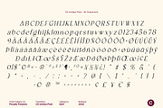 CS Anthea Pixel, a Serif Font by Craft Supply Co. (Thumbnail 8 of 8)