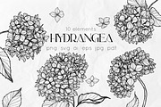 Hydrangea Flowers Line Art SVG, a Decorative Illustration by Dervik Art Store (Thumbnail 1 of 6)