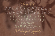 Dulan Anzelica - Signature Font, a Script Font by StringLabs (Thumbnail 10 of 10)