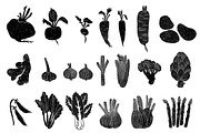 Autumn Bundle: Kitchen and Garden, a Food Illustration by Mii Lab (Thumbnail 12 of 28)