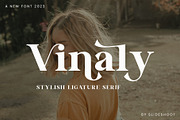 Vinaly Serif Font, a Serif Font by Idea Studio (Thumbnail 1 of 11)