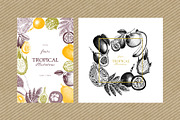 Vintage Tropical Fruit Sketches, a Food Illustration by Yevheniia (Thumbnail 4 of 8)