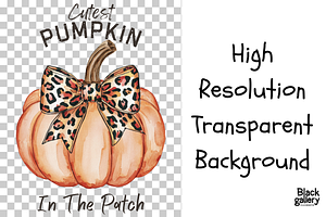 Fall Autumn Pumpkin Patch PNG