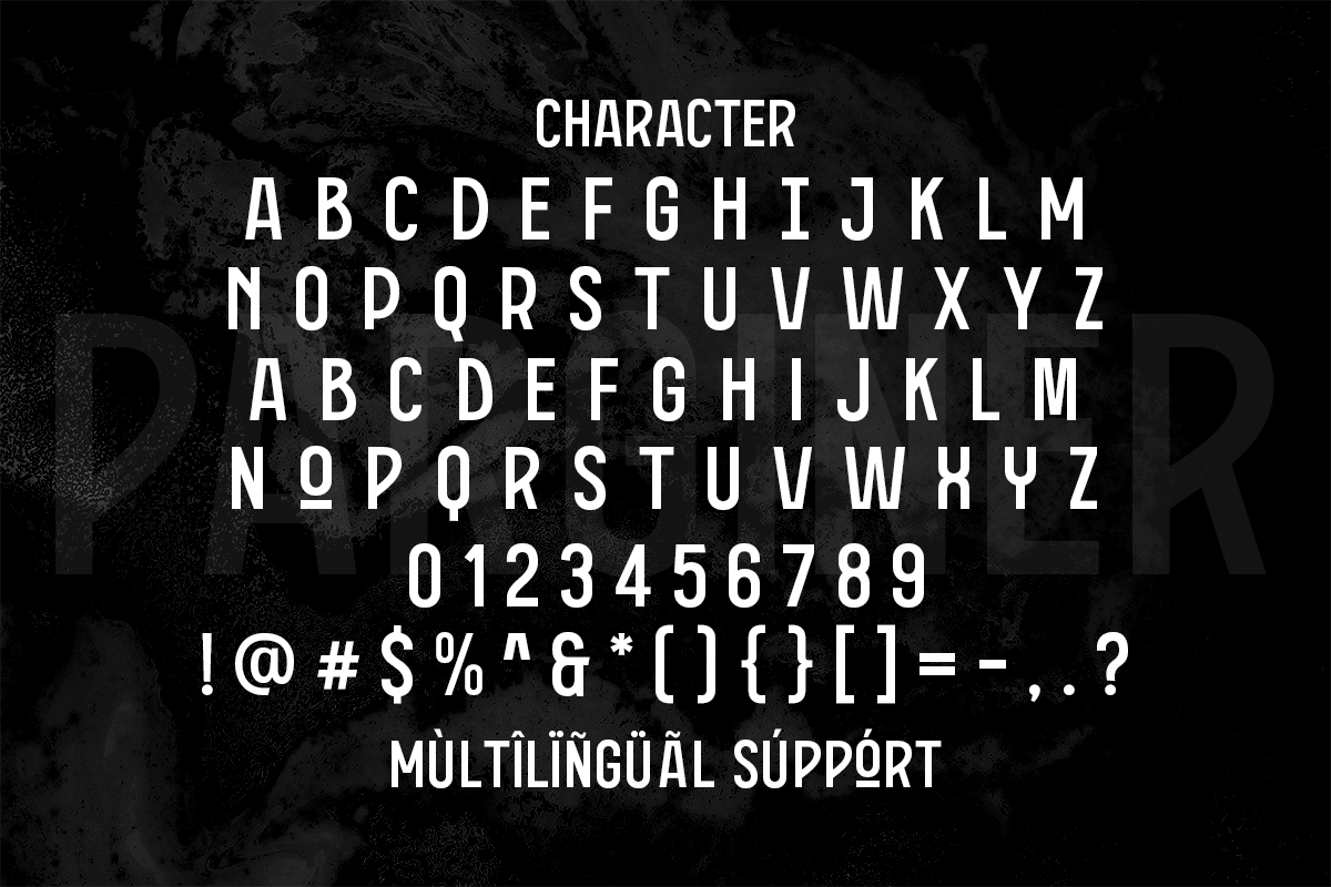 Parginer Display Font, a Sans Serif Font by Martype (Photo 6 of 8)