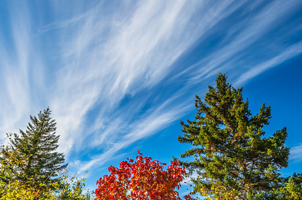 The autumn sun in Pinawa Park