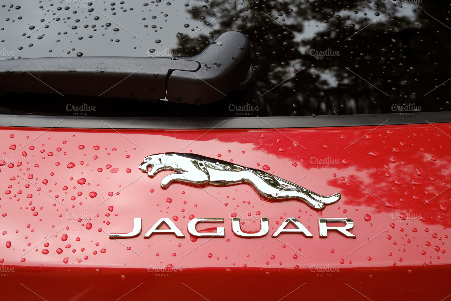 Luxury Jaguar car sign close up, a Transportation Photo by BOOCYS