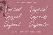 Birdspring Signature, a Script Font by Rillatype (Thumbnail 4 of 13)