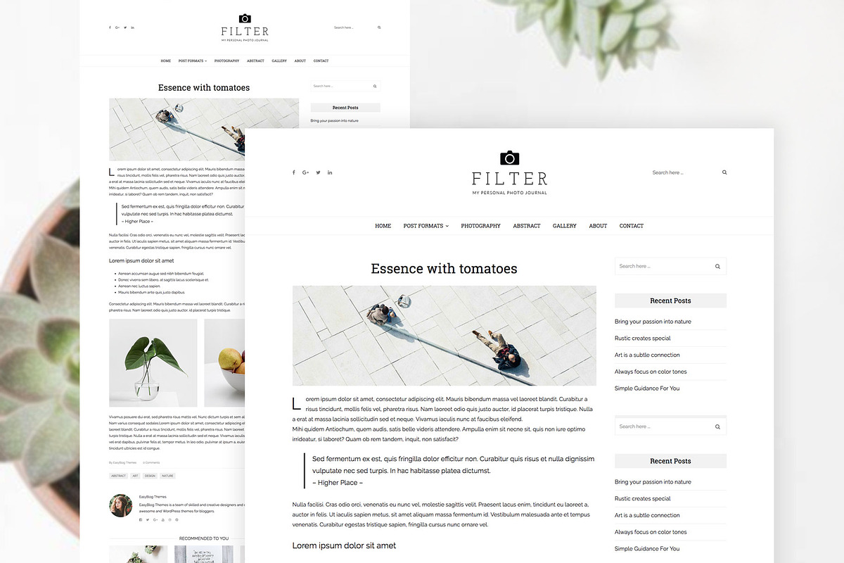 Filter - Art & Photography WP Theme, a WordPress Template by EasyBlog Themes (Photo 4 of 4)