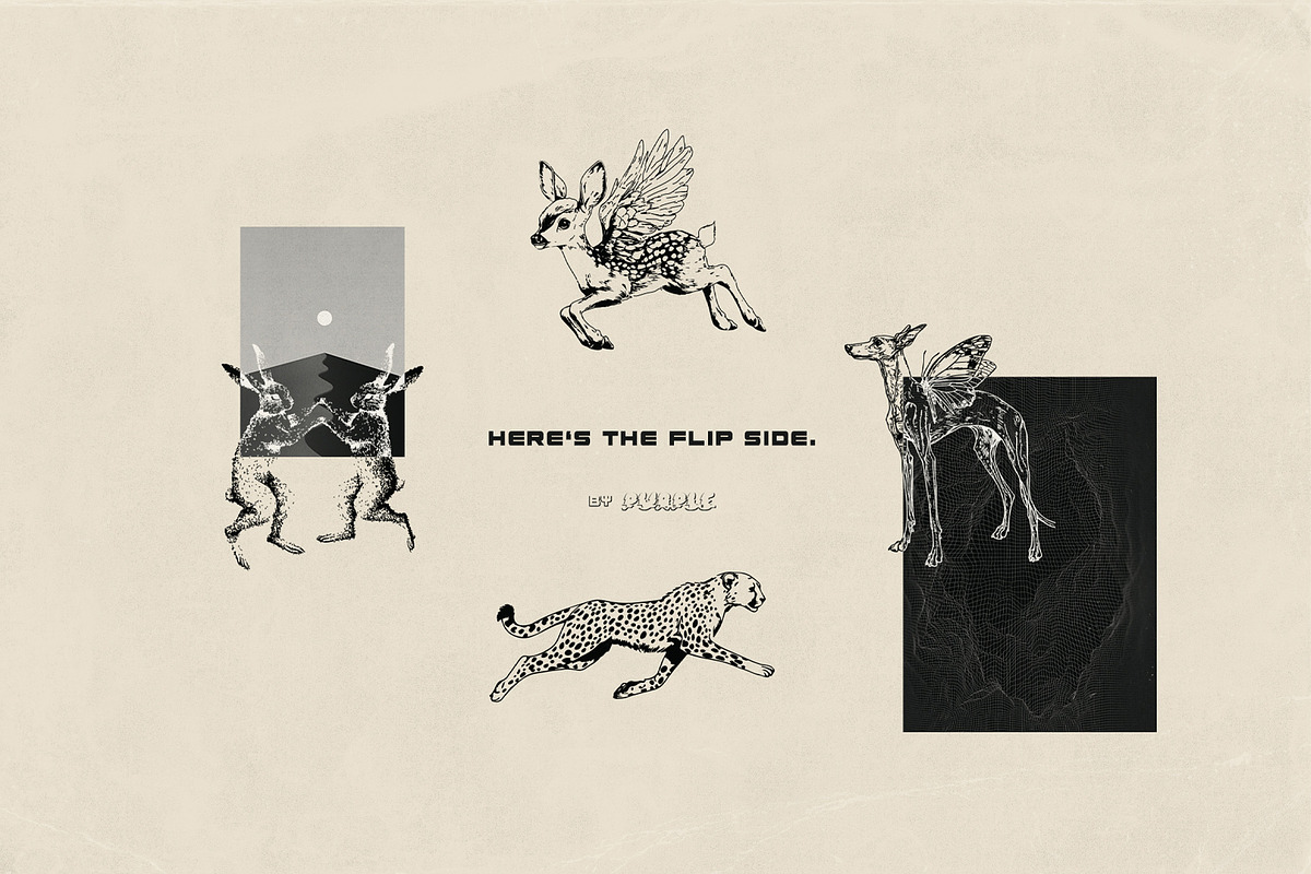 Flip Side collection, an Object Graphic by Purple (Photo 4 of 10)
