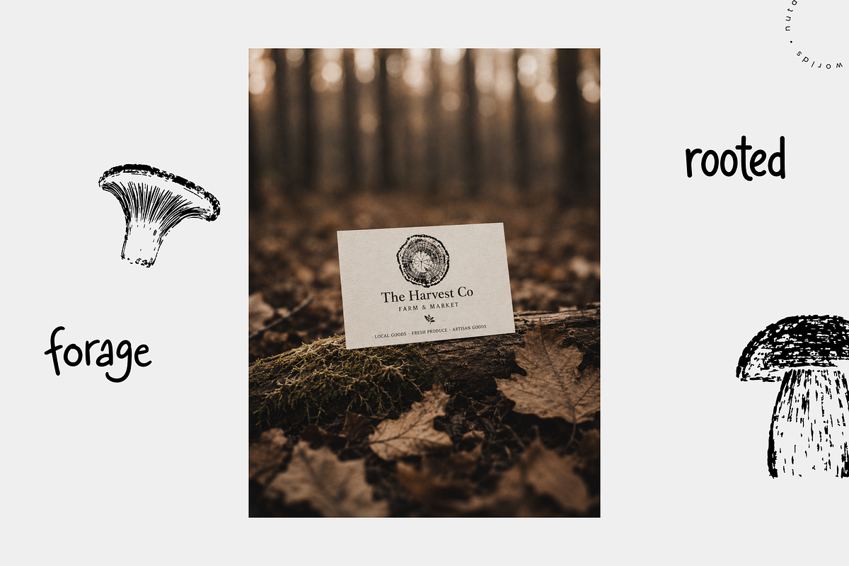 Autumn Forest Imprints | Vector Pack, an Object Illustration by Nutalin Art (Photo 9 of 13)