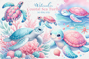 Coastal Sea Turtle Clipart, an Illustration by Dream Creation (Thumbnail 1 of 6)