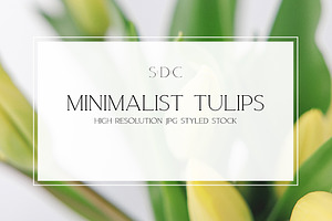 Minimalist Tulips Styled Stock, a Nature Photo by Susie Design Co