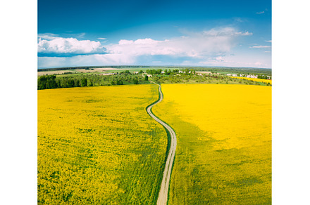 Aerial View Of Agricultural, a Nature Photo by Our Amazing World