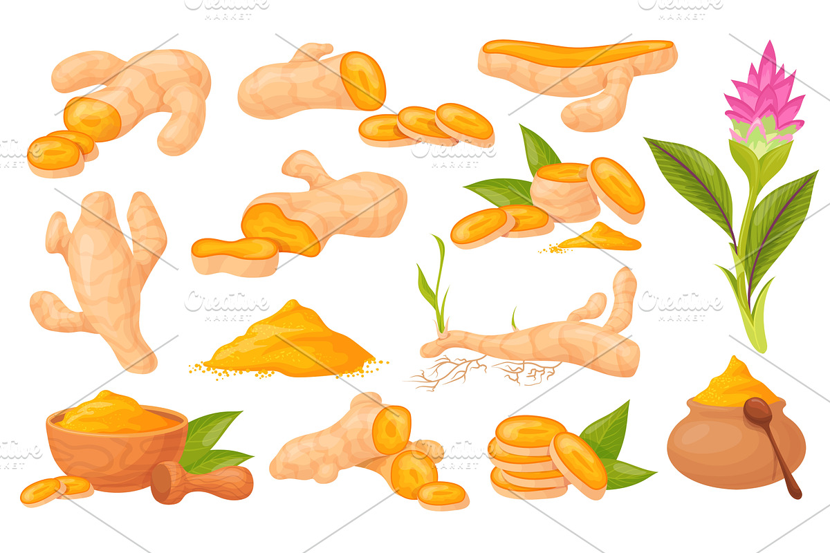 Curcuma. Turmeric root plant with, a Graphic by Stock-Smart-Start