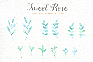 Sweet Rose Watercolor Clipart