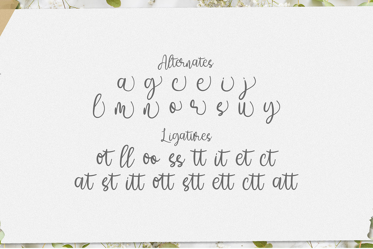 Amelia Sani - Handwritten Font, a Script Font by StringLabs (Photo 11 of 12)
