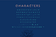 Nektarina Handwritten Font & Extras, a Font by Pencil Twist (Thumbnail 4 of 12)