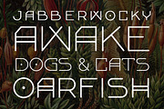 Francis Nouveau, a Sans Serif Font by Selma’s Patty (Thumbnail 2 of 4)
