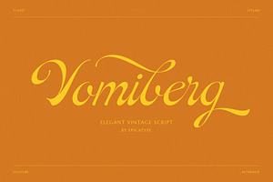 Vomiberg || Retro Script Font, a Script Font by epicatype