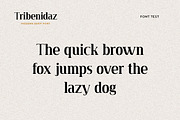 Tribenidaz Serif Display Font, a Serif Font by UICreative (Thumbnail 4 of 4)
