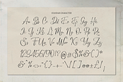 Bounthy Flow | Handwritten Script, a Script Font by Denustudios (Thumbnail 13 of 15)