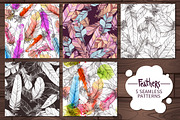 Feathers. Hand Drawn Collection, an Object Graphic by alexrockheart (Thumbnail 5 of 5)